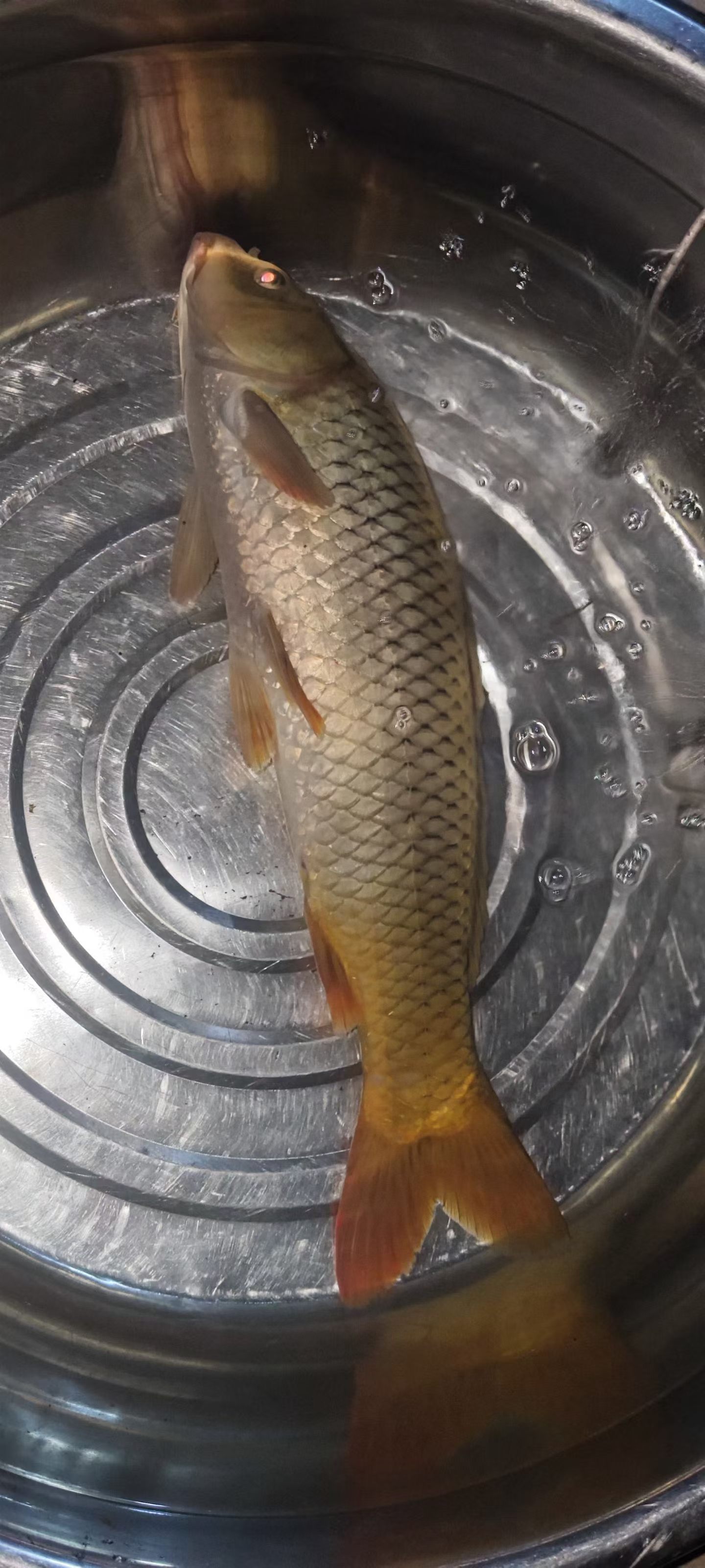 照片4